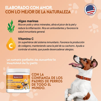 Masticables Alérgicos + Inmunes